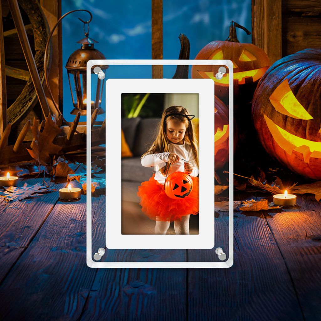 Digital Video Photo Frame