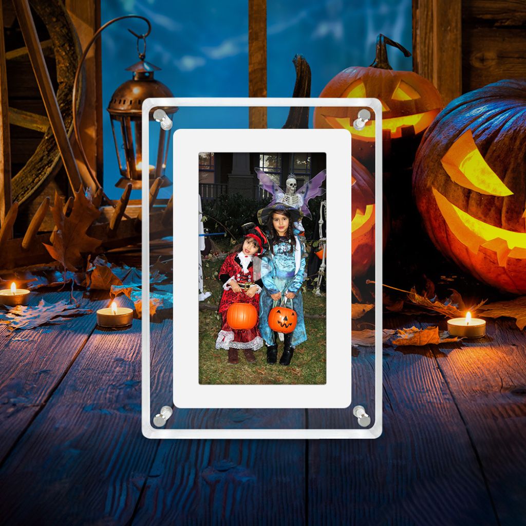 Digital Video Photo Frame 